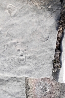 Skull. Level 4. Chicago lakefront stone carvings, Promontory Point. 2022 Skull. Level 4. Chicago lakefront stone carvings, Promontory Point. 2022