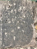 Autograph rock, detail: The Devils, Bill K., Bob J., Red B., Larry, Hart, Joe, Mac, plus Bunny. Level 1. Chicago lakefront stone carvings, Promontory Point. 2018 Autograph rock, detail: The Devils, Bill K., Bob J., Red B., Larry, Hart, Joe, Mac, plus Bunny. Level 1. Chicago lakefront stone carvings, Promontory Point. 2018