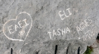 Heart, eye, Tasha, Eli, Agnes, rabbit, made during the Oct. 9, 2022, Promontory Point carving workshop. Level 5. Chicago Lakefront stone carvings, Promontory Point. 2023 Heart, eye, Tasha, Eli, Agnes, rabbit, made during the Oct. 9, 2022, Promontory Point carving workshop. Level 5. Chicago Lakefront stone carvings, Promontory Point. 2023