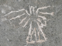 Thunderbird, made during the May 27, 2023, Promontory Point carving workshop. Level 5. Chicago Lakefront stone carvings, Promontory Point. 2023 Thunderbird, made during the May 27, 2023, Promontory Point carving workshop. Level 5. Chicago Lakefront stone carvings, Promontory Point. 2023