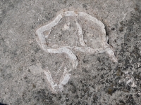 Violet, made by Emma Swislow at May 2023 carving workshop. Level 5. Chicago lakefront stone carvings, Promontory Point. 2023 Violet, made by Emma Swislow at May 2023 carving workshop. Level 5. Chicago lakefront stone carvings, Promontory Point. 2023