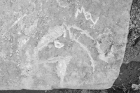 Horse carved by Roman Villeareal, MBV 22 carved by Maria Villareal, during the Oct. 9, 2022, Promontory Point carving workshop. Level 5. Chicago Lakefront stone carvings, Promontory Point. 2022 Horse carved by Roman Villeareal, MBV 22 carved by Maria Villareal, during the Oct. 9, 2022, Promontory Point carving workshop. Level 5. Chicago Lakefront stone carvings, Promontory Point. 2022