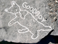 Cat Goodboy, made at May 2023 carving workshop. Level 5. Chicago lakefront stone carvings, Promontory Point. 2023