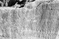 Sears Tower and fish, detail, made during the Oct. 9, 2022, Promontory Point carving workshop. Level 5, vertical. Chicago Lakefront stone carvings, Promontory Point. 2022 Sears Tower and fish, detail, made during the Oct. 9, 2022, Promontory Point carving workshop. Level 5, vertical. Chicago Lakefront stone carvings, Promontory Point. 2022