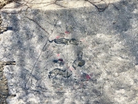 Pyramid, 66. Level 4. Chicago lakefront stone carvings, Promontory Point. 2018 Pyramid, 66. Level 4. Chicago lakefront stone carvings, Promontory Point. 2018