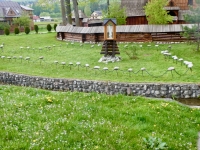 Shrine and interesting fence at the 15th century St. Michael Archangel's Church in Dębno Shrine and interesting fence at the 15th century St. Michael Archangel's Church in Dębno