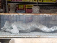 Body cast