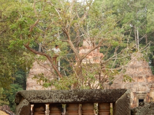 Picking beans near Preah Ko, 9th century, Siem Reap