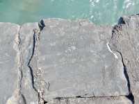 Harry + Sis, RS 7/5/40. Chicago lakefront stone carvings, Promontory Point. 2018