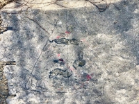 Pyramid, 66. Chicago lakefront stone carvings, Promontory Point. 2018 Pyramid, 66. Chicago lakefront stone carvings, Promontory Point. 2018