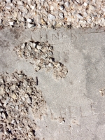 June 8 1938/Herele. Chicago lakefront stone carvings, Promontory Point. 2018 June 8 1938/Herele. Chicago lakefront stone carvings, Promontory Point. 2018