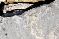 Dunk 38 detail, with bathing beauty pair. Chicago lakefront stone carvings, Promontory Point. 2021 Dunk 38 detail, with bathing beauty pair. Chicago lakefront stone carvings, Promontory Point. 2021