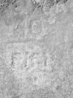 40 Fifi. Chicago lakefront stone carvings, Promontory Point. 2019 40 Fifi. Chicago lakefront stone carvings, Promontory Point. 2019