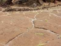 More figures at the Puako petroglyphs