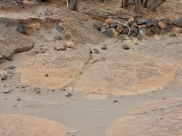 Figures, the Puako petroglyphs