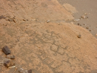 Figures, the Puako petroglyphs
