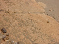 Figures, the Puako petroglyphs