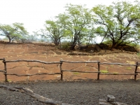 Overlook at the Puako petroglyphs