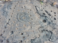 Concentric circles with cupules and figure, Pu`u Loa petroglyphs, Hawai‘i Volcanoes National Park Concentric circles with cupules and figure, Pu`u Loa petroglyphs, Hawai‘i Volcanoes National Park