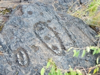 Oval with cupules, Pu`u Loa petroglyphs, ⁨Hawai‘i Volcanoes National Park⁩