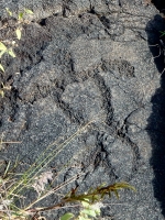 Anthromopomorph figure, Pu`u Loa petroglyphs, ⁨Hawai‘i Volcanoes National Park⁩