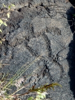 Anthromopomorph figure, Pu`u Loa petroglyphs, Hawai‘i Volcanoes National Park Anthromopomorph figure, Pu`u Loa petroglyphs, Hawai‘i Volcanoes National Park