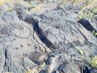 Symbols and figures, Pu`u Loa petroglyphs, Hawai‘i Volcanoes National Park Symbols and figures, Pu`u Loa petroglyphs, Hawai‘i Volcanoes National Park