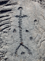 Elongated figure and cupules, Pu`u Loa petroglyphs, ⁨Hawai‘i Volcanoes National Park⁩