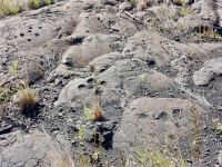 Cupule groups, Pu`u Loa petroglyphs, Hawai‘i Volcanoes National Park Cupule groups, Pu`u Loa petroglyphs, Hawai‘i Volcanoes National Park