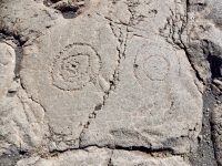 Concentric circles, Pu`u Loa petroglyphs, ⁨Hawai‘i Volcanoes National Park⁩