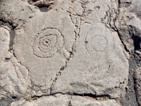 Concentric circles, Pu`u Loa petroglyphs, Hawai‘i Volcanoes National Park Concentric circles, Pu`u Loa petroglyphs, Hawai‘i Volcanoes National Park