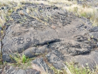 Writing, Pu`u Loa petroglyphs, ⁨Hawai‘i Volcanoes National Park⁩