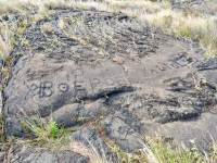 Writing, Pu`u Loa petroglyphs, Hawai‘i Volcanoes National Park Writing, Pu`u Loa petroglyphs, Hawai‘i Volcanoes National Park