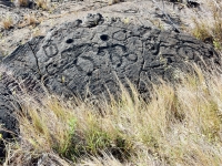 Figures and cupules, Pu`u Loa petroglyphs, Hawai‘i Volcanoes National Park Figures and cupules, Pu`u Loa petroglyphs, Hawai‘i Volcanoes National Park