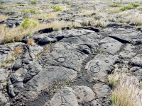 Circles, Pu`u Loa petroglyphs, Hawai‘i Volcanoes National Park Circles, Pu`u Loa petroglyphs, Hawai‘i Volcanoes National Park