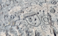 Spread eagle figure with circles and symbols, Pu`u Loa petroglyphs, ⁨Hawai‘i Volcanoes National Park⁩