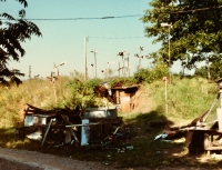 R.A. Miller's whirligig farm, Gainesville, Georgia, 1988. When I asked for directions at a nearby store, it was clear that not all of his neighbors loved the look.