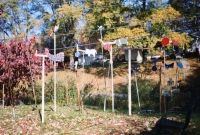 R.A. Miller's whirligig farm, Gainesville, Georgia, 1988