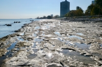 The shoreline and offshore rocks, south of La Rabida Hospital, looking south. The lake is high and the rock-bearing carvings are in the water. 2021 The shoreline and offshore rocks, south of La Rabida Hospital, looking south. The lake is high and the rock-bearing carvings are in the water. 2021