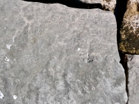 JM, SLIVS, and others. Chicago lakefront stone carvings, south of La Rabida Hospital. 2023 JM, SLIVS, and others. Chicago lakefront stone carvings, south of La Rabida Hospital. 2023