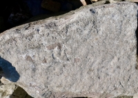 Arrow (pointing up), V (in a frame), X. Chicago Lakefront stone carvings, south of La Rabida Hospital. 2025 Arrow (pointing up), V (in a frame), X. Chicago Lakefront stone carvings, south of La Rabida Hospital. 2025