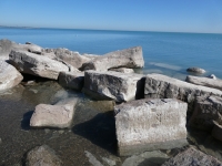 Elaborate carving of a dragon (center right). Chicago Lakefront stone carvings, south of La Rabida Hospital. 2025 Elaborate carving of a dragon (center right). Chicago Lakefront stone carvings, south of La Rabida Hospital. 2025