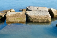 Edwin Loves Edwina and ??? Loves Helen. Chicago lakefront stone carvings, south of La Rabida Hospital. 2021 Edwin Loves Edwina and ??? Loves Helen. Chicago lakefront stone carvings, south of La Rabida Hospital. 2021