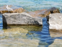Verno. Chicago lakefront stone carvings, south of La Rabida Hospital. 2022 Verno. Chicago lakefront stone carvings, south of La Rabida Hospital. 2022