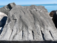 H (left side), DJ, WJHMBX, Tim. Chicago lakefront stone carvings, south of La Rabida Hospital. 2025 H (left side), DJ, WJHMBX, Tim. Chicago lakefront stone carvings, south of La Rabida Hospital. 2025