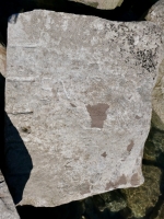 SN, Z. Chicago Lakefront stone carvings, south of La Rabida Hospital. 2025 SN, Z. Chicago Lakefront stone carvings, south of La Rabida Hospital. 2025