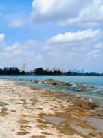 The shoreline south of La Rabida Hospital looking north to Hyde Park and downtown. The lake is high and the rock-bearing carvings are in the water. 2022 The shoreline south of La Rabida Hospital looking north to Hyde Park and downtown. The lake is high and the rock-bearing carvings are in the water. 2022
