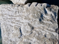 Pee W, SW. Chicago Lakefront stone carvings, south of La Rabida Hospital. 2025 Pee W, SW. Chicago Lakefront stone carvings, south of La Rabida Hospital. 2025
