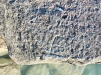 AD, T, E. Chicago Lakefront stone carvings, south of La Rabida Hospital. 2025 AD, T, E. Chicago Lakefront stone carvings, south of La Rabida Hospital. 2025