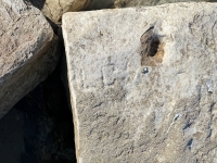 LC. Chicago Lakefront stone carvings, south of La Rabida Hospital. 2025 LC. Chicago Lakefront stone carvings, south of La Rabida Hospital. 2025